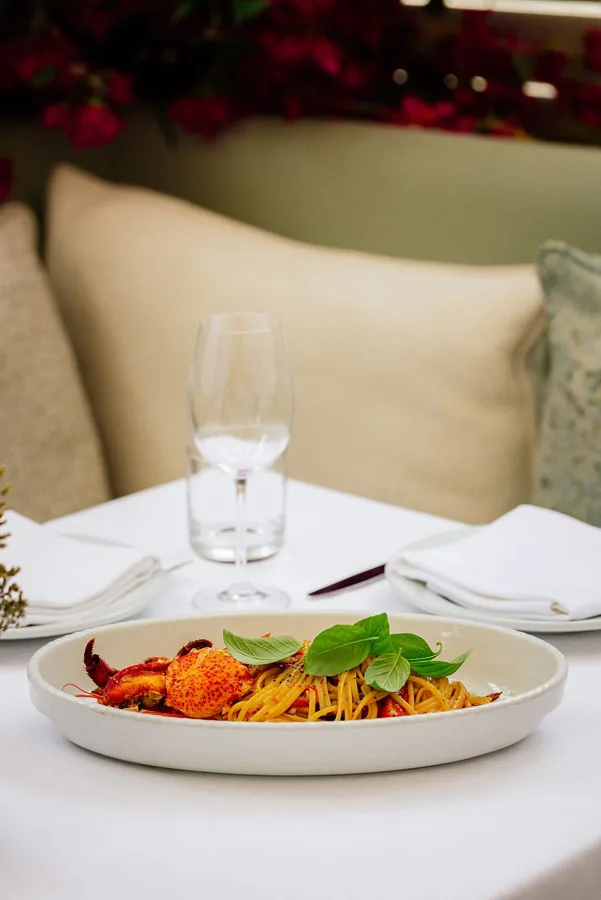 Dish, high key light. Food photography in Dubai by Artur Begel