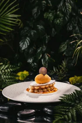Dish. Food photography in Dubai by Artur Begel