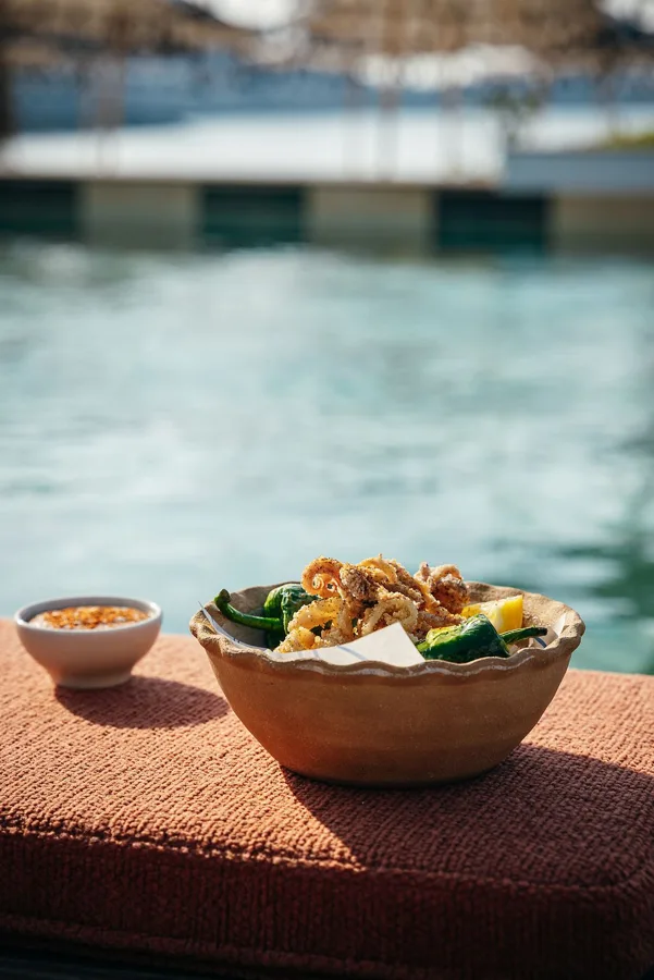 Dish. Food photography in Dubai by Artur Begel