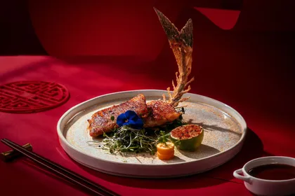 Dish. Food photography in Dubai by Artur Begel