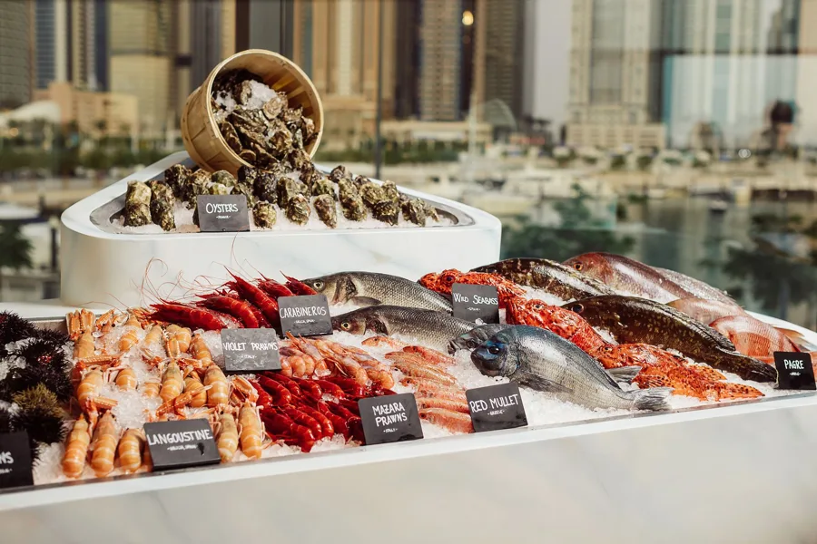 Dish. Food photography in Dubai by Artur Begel