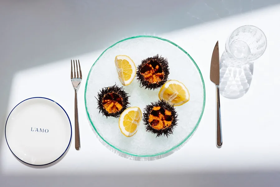 Dish, high key light. Food photography in Dubai by Artur Begel