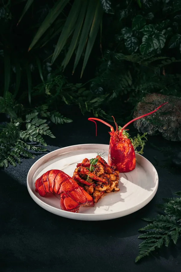 Dish, low key light. Food photography in Dubai by Artur Begel