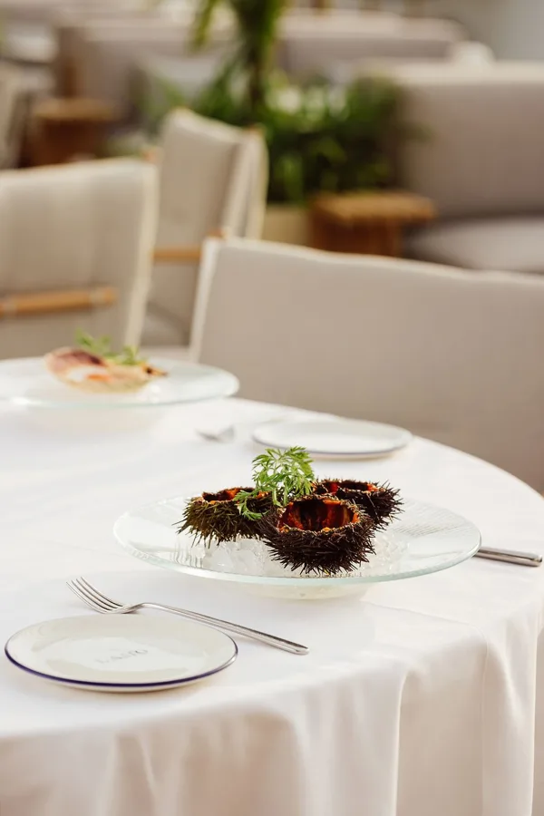 Dish, high key light. Food photography in Dubai by Artur Begel
