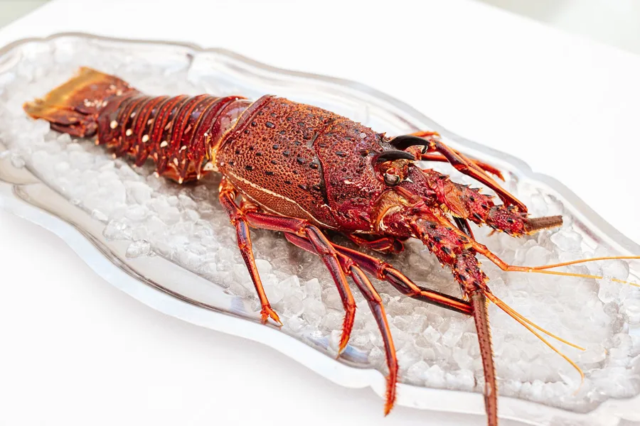 Dish, high key light. Food photography in Dubai by Artur Begel