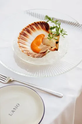 Dish. Food photography in Dubai by Artur Begel