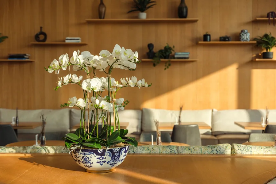 Interior. Food photography in Dubai by Artur Begel