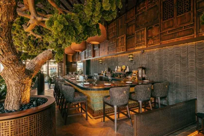 Interior of HANU, editorial light. Food photography in Dubai by Artur Begel