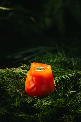 Dish at SHI, low key light. Food photography in Dubai by Artur Begel