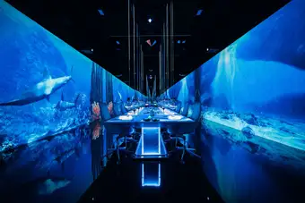 Sublimotion, F&B photography by Artur Begel