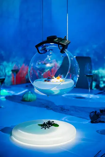Sublimotion, F&B photography by Artur Begel