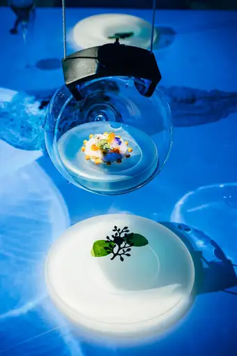 Sublimotion, F&B photography by Artur Begel